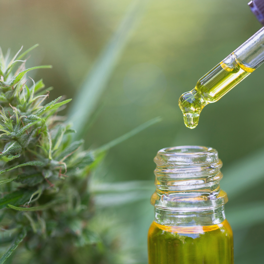 cbd oil