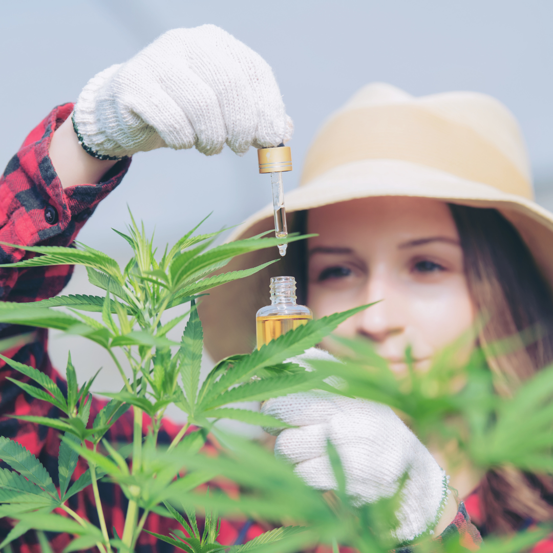 A woman holding cbd oil next to a hemp plant